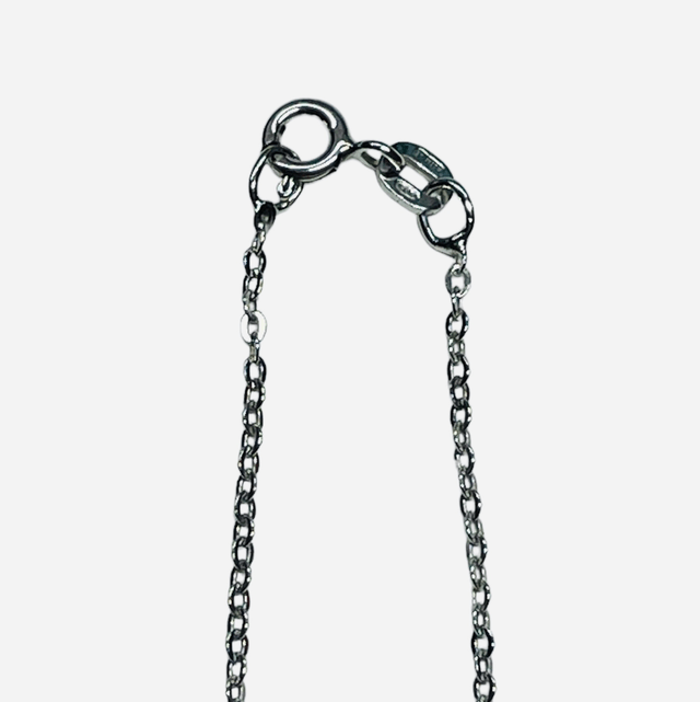 CIONDOLO BACIO P.Turchese catenina in argento 925/000 Art.BJPZCIO